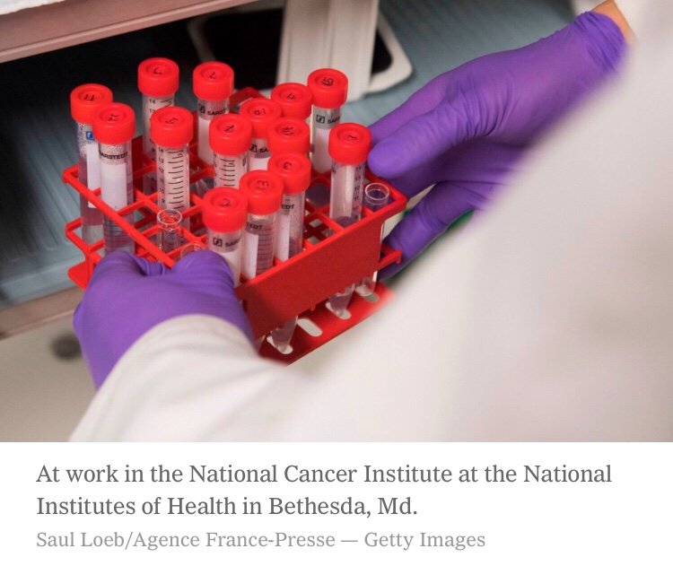 Read more about the article Why the Medical Research Grant System Could Be Costing Us Great Ideas – The New York Times