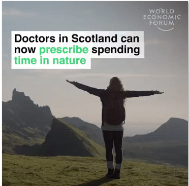 Read more about the article Doctors can now prescribe spending time in nature