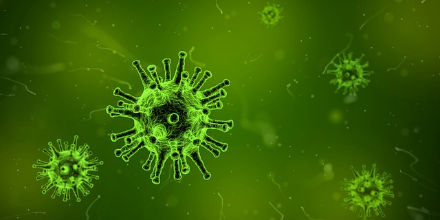 You are currently viewing Scientists succeed in destroying HIV-infected cells in major breakthrough 