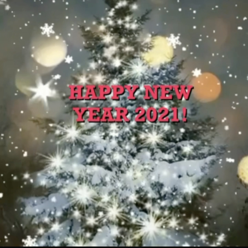 Read more about the article Happy New Year 2021!